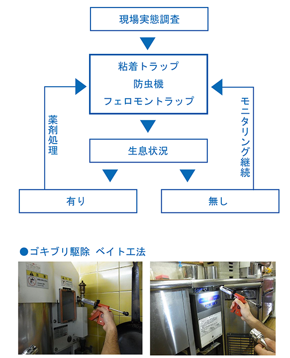 ゴキブリ駆除